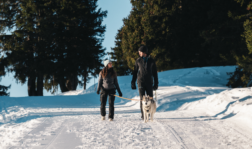 Marche à pied sur les pistes de ski de fond à Flaine
