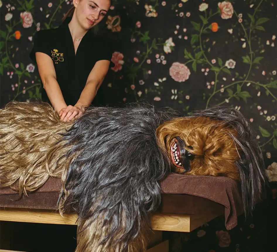 spa flaine nuxe rockypop reduction