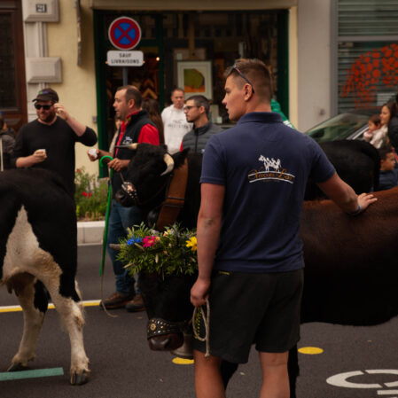 DESCENT FROM THE ALPINE PASTURES
