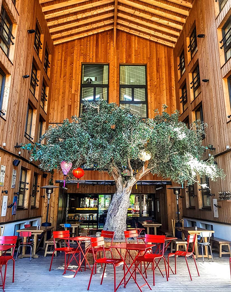 RockyPop Terrace Chamonix - Les Houches